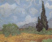 Vincent Van Gogh Wheat Field with Cypresses (nn04) oil